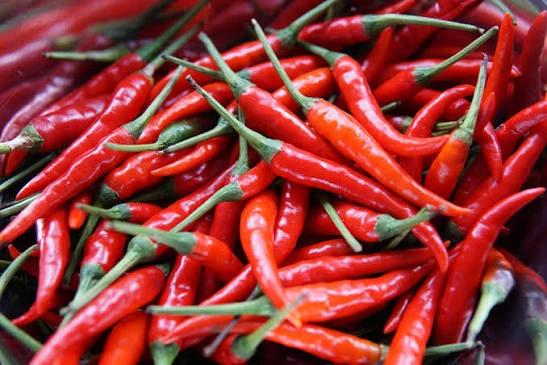 Czerwona papryczka chili (Lal Mirch)